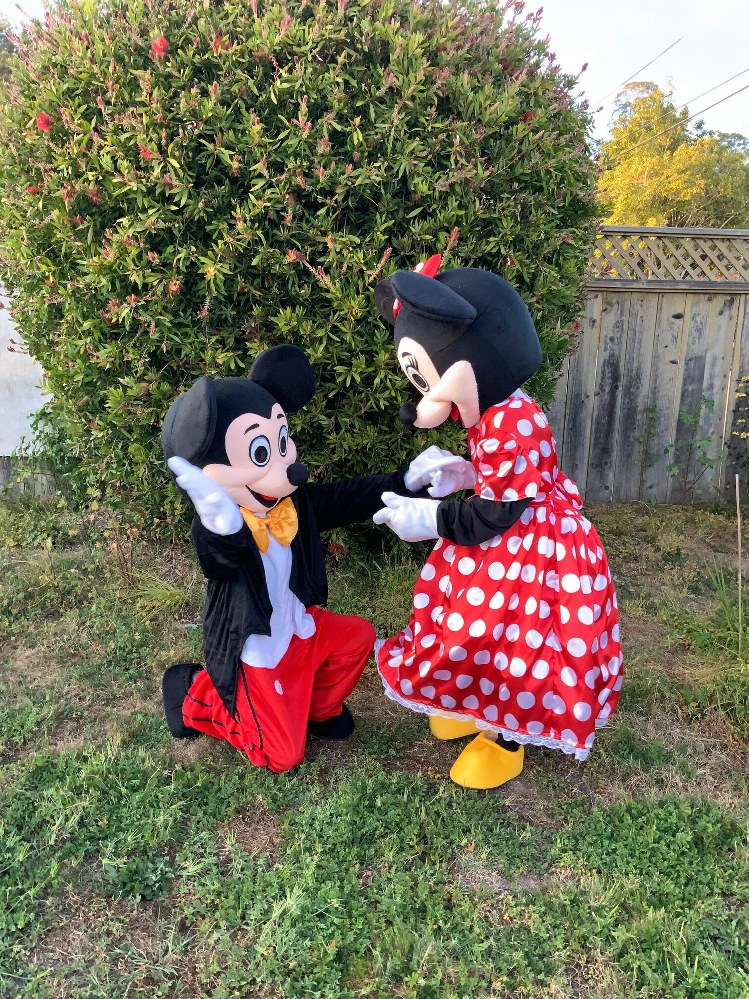 A costume character duo entertaining at a party