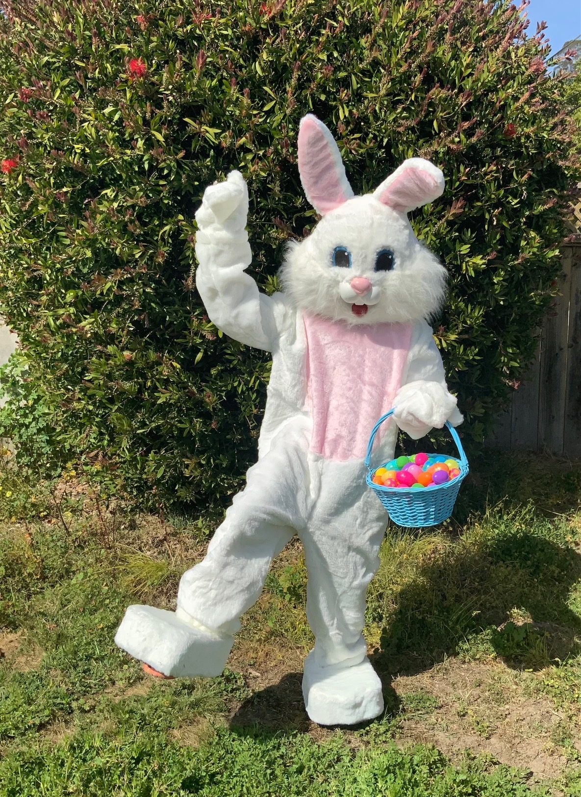 The Easter Bunny waving with a basket of eggs