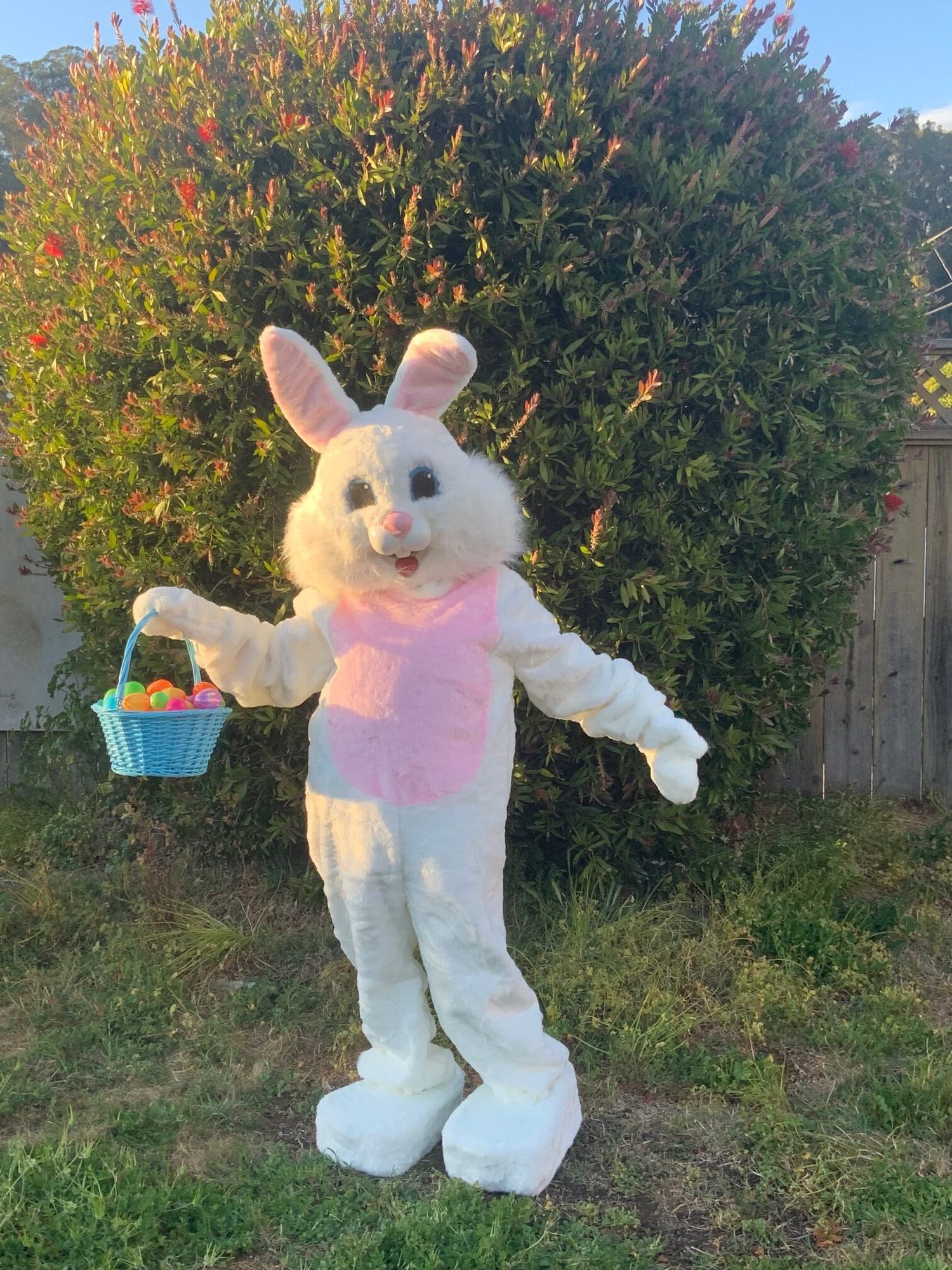 The Easter Bunny with a basket of eggs