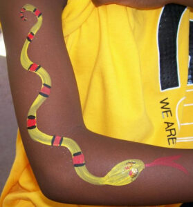 A Snake in Yellow and Red Color Stripes