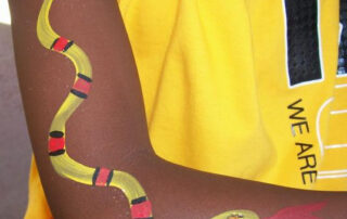 A Snake in Yellow and Red Color Stripes